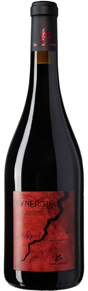 2021 Collioure SYNERGIE von Terres des Templiers Rotwein