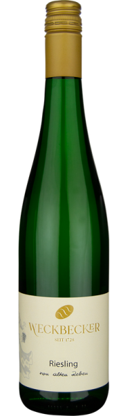 2024 Riesling Sp&auml;tlese  ALTE REBEN Hatzenporter Kirchberg von Weingut Weckbecker - Wei&szlig;wein
