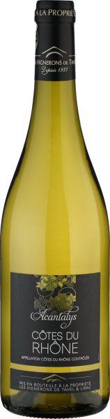 2024 C&ocirc;tes du Rh&ocirc;ne blanc Acantalys von Vignerons de Tavel - Wei&szlig;wein