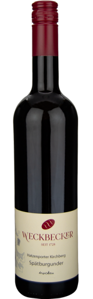 2021 Mosel Sp&auml;tburgunder Burg Cochem von Weingut Weckbecker - Rotwein